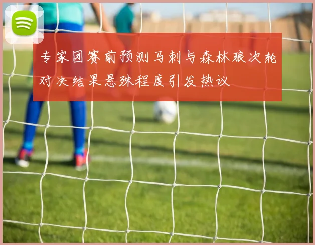 专家团赛前预测马刺与森林狼次轮对决结果悬殊程度引发热议