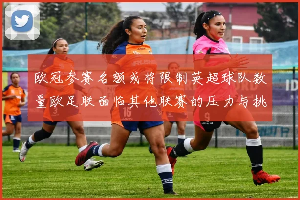 欧冠参赛名额或将限制英超球队数量欧足联面临其他联赛的压力与挑战